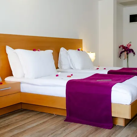 The Highlight Bodrum Yalikavak