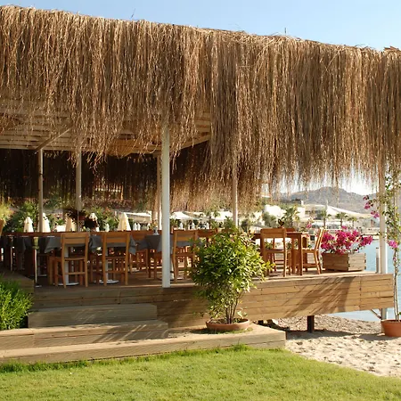 酒店 The Highlight Bodrum