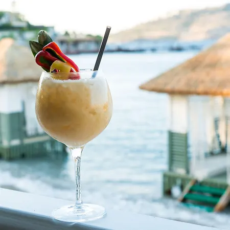 酒店 The Highlight Bodrum 亚力卡瓦克