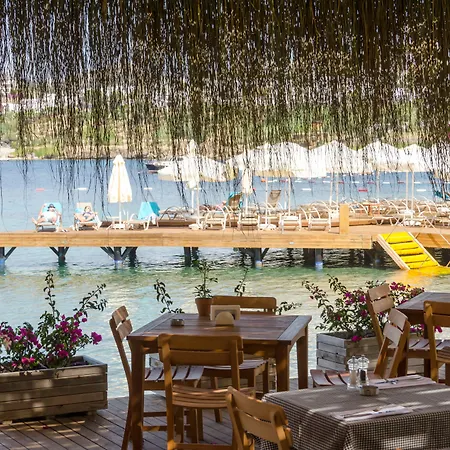 The Highlight Bodrum מלון 4*